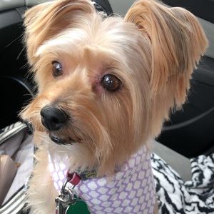 Meet your Posher, Leah